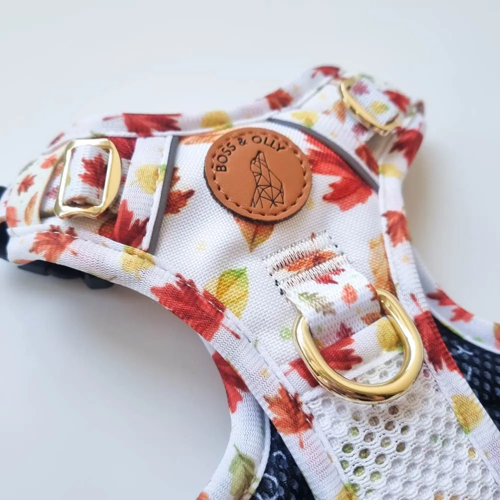 Boss & Olly Active Dog Harness (Autumn Leaves)