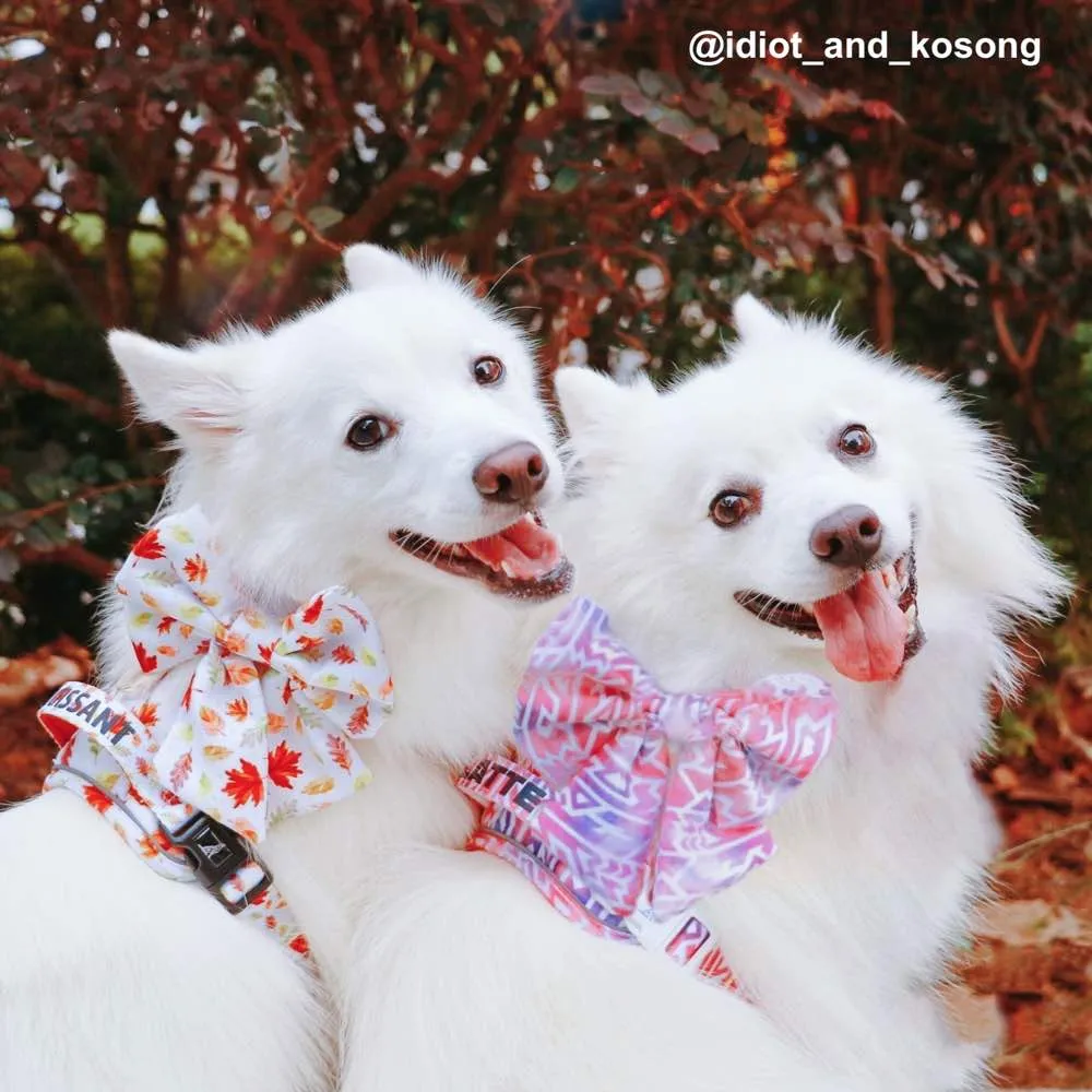 Boss & Olly Active Dog Harness (Autumn Leaves)