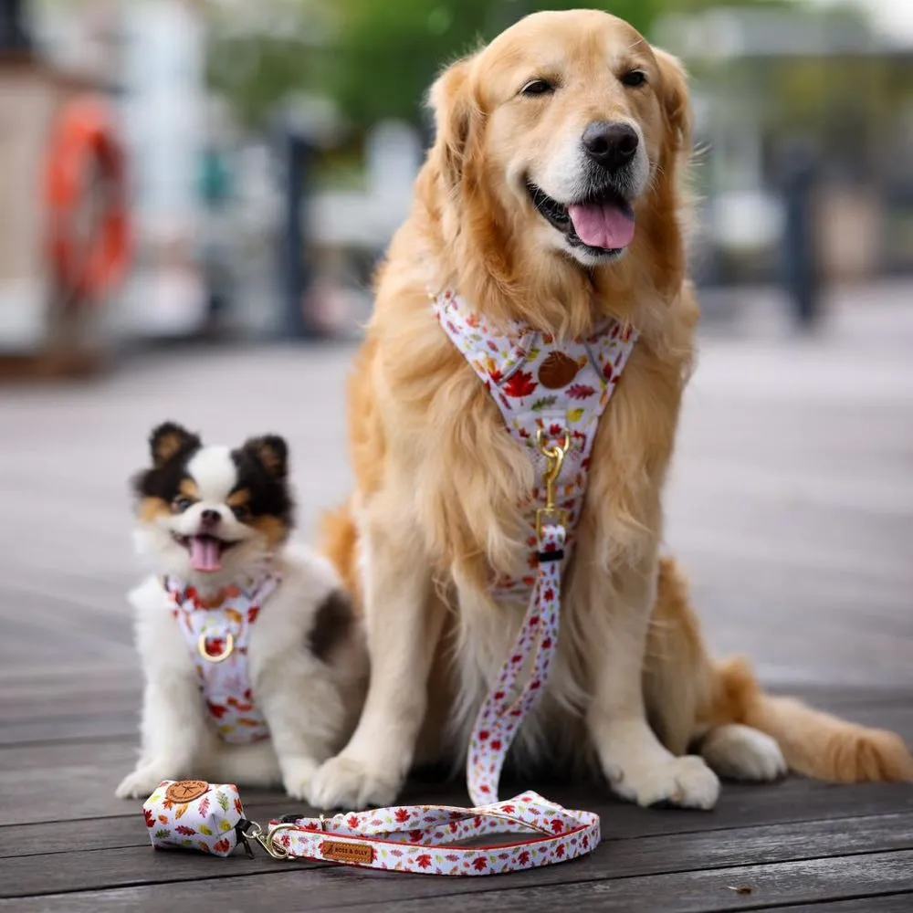 Boss & Olly Active Dog Harness (Autumn Leaves)