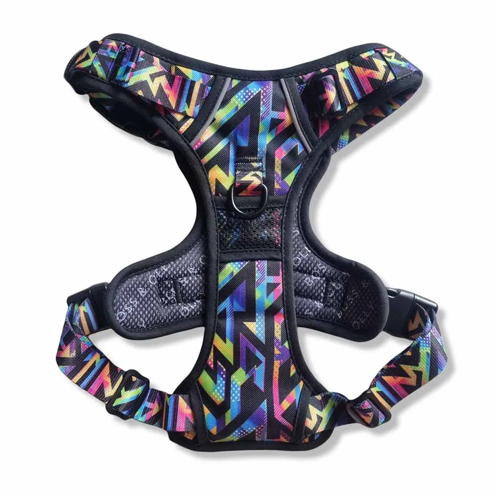 Boss & Olly Active Dog Harness (Aztec Rainbow)