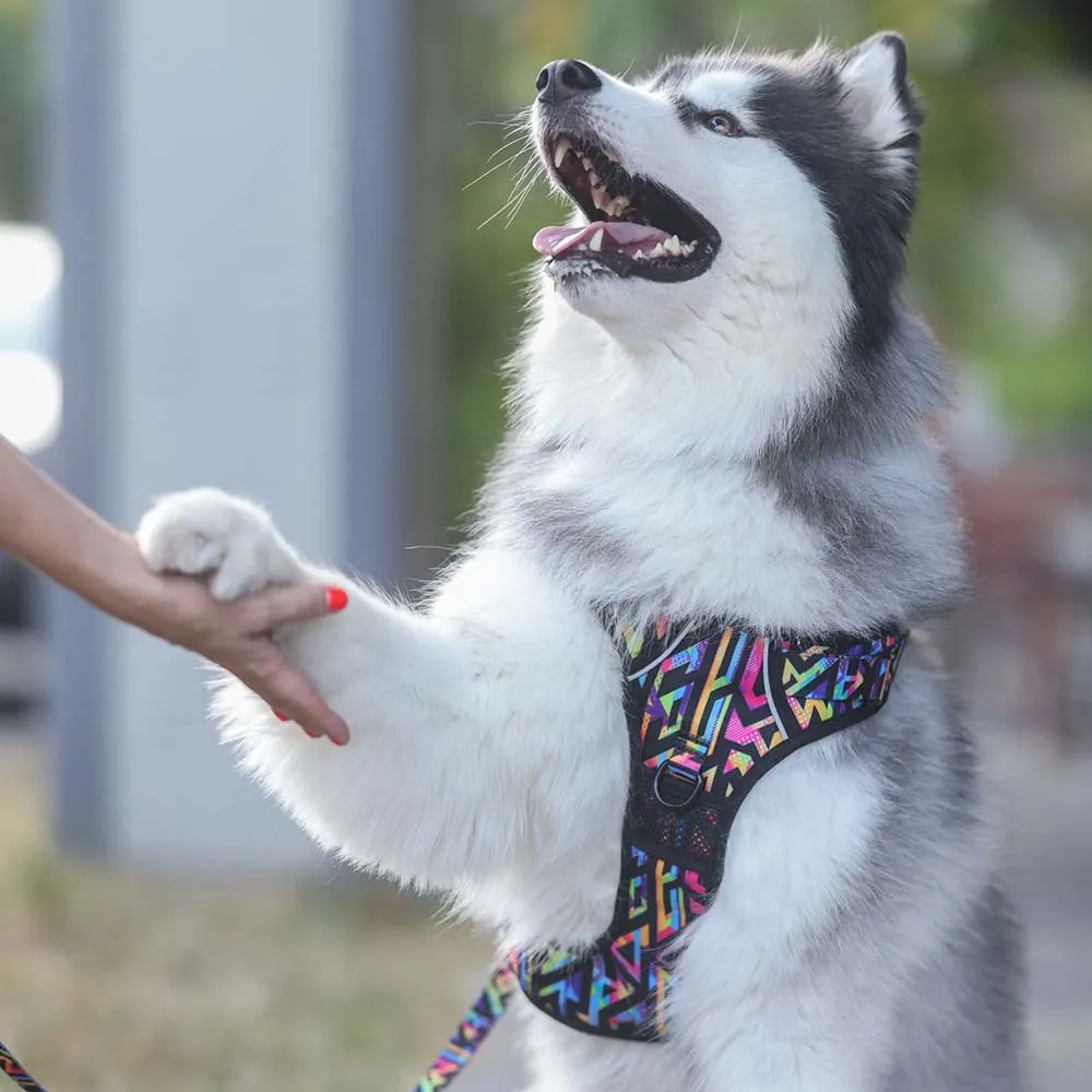 Boss & Olly Active Dog Harness (Aztec Rainbow)