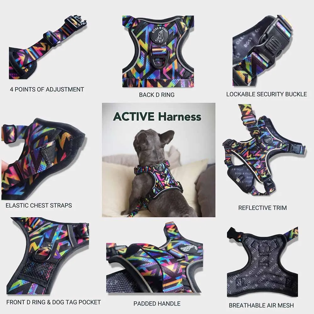 Boss & Olly Active Dog Harness (Aztec Rainbow)