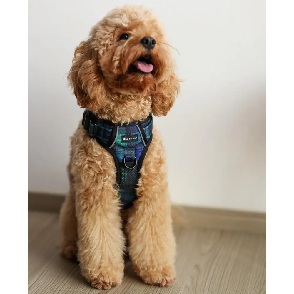 Boss & Olly Active Dog Harness (Forest Plaids)