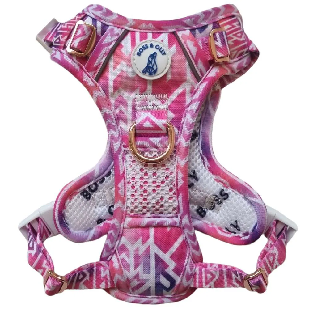 Boss & Olly Active Dog Harness (Fruity Sorbet)