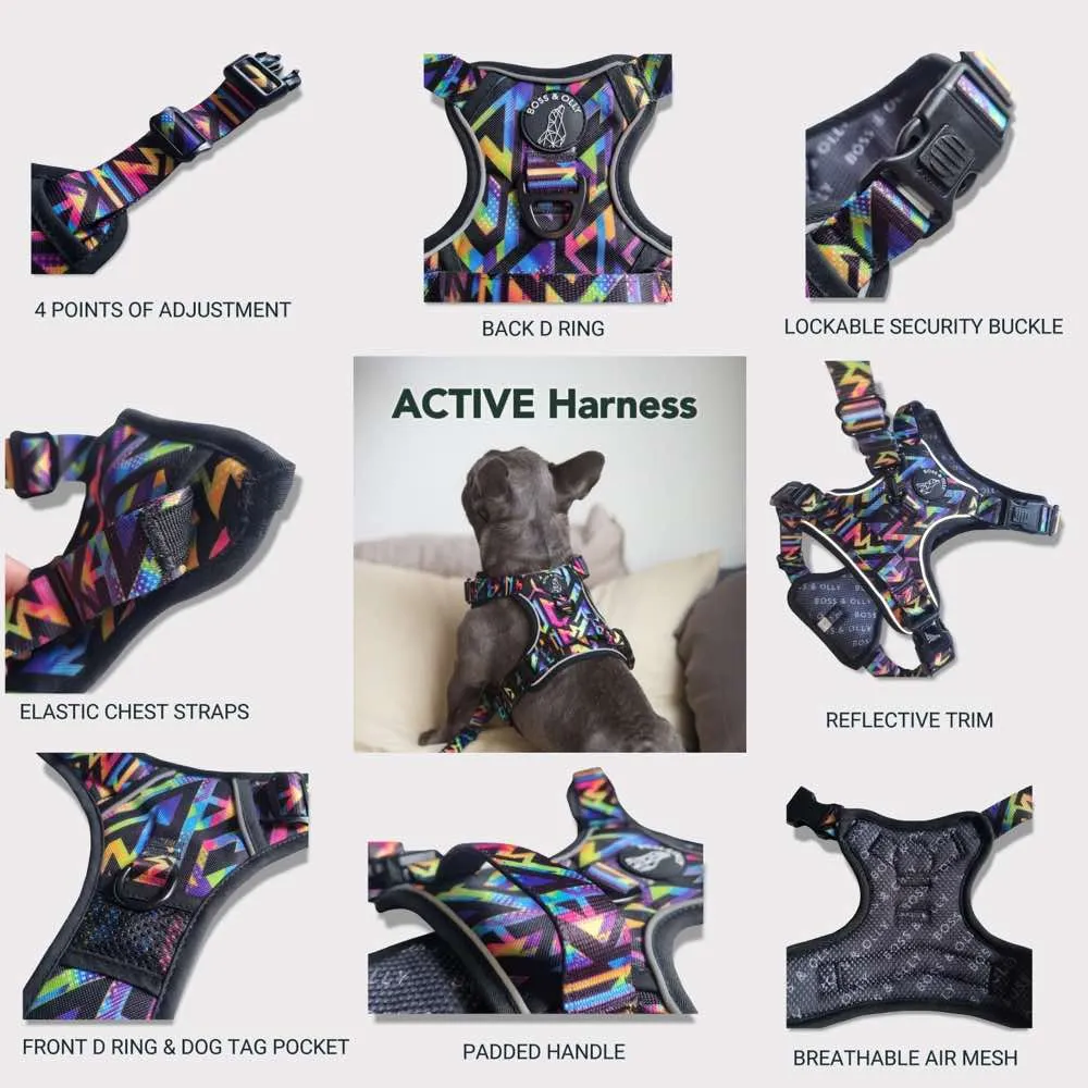 Boss & Olly Active Dog Harness (Fruity Sorbet)