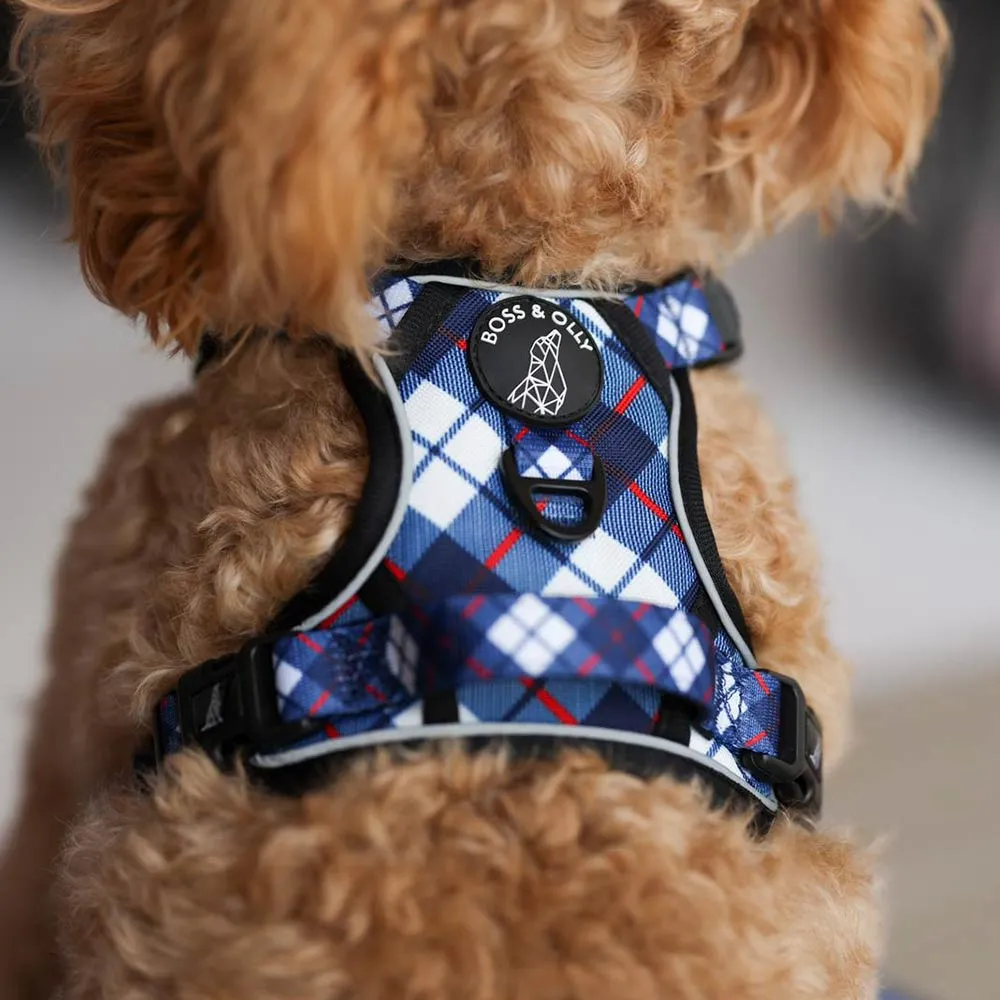 Boss & Olly Active Dog Harness (Nautical Plaids)