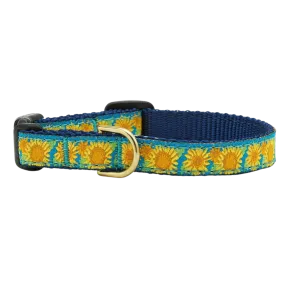 Cat Collar | Bright Sunflower