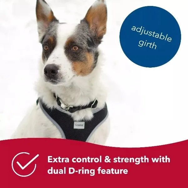 Comfort Soft Reflective Wrap Adjustable Dog Harness