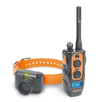 DOGTRA 2700T&B Training & Beeper Collar