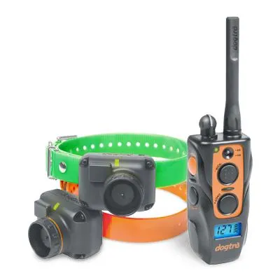 DOGTRA 2702T&B Training & Beeper Collar