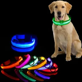 Glowing Dog Collar