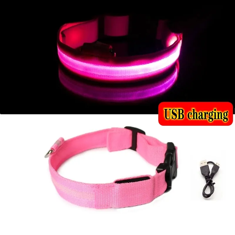 Glowing Dog Collar