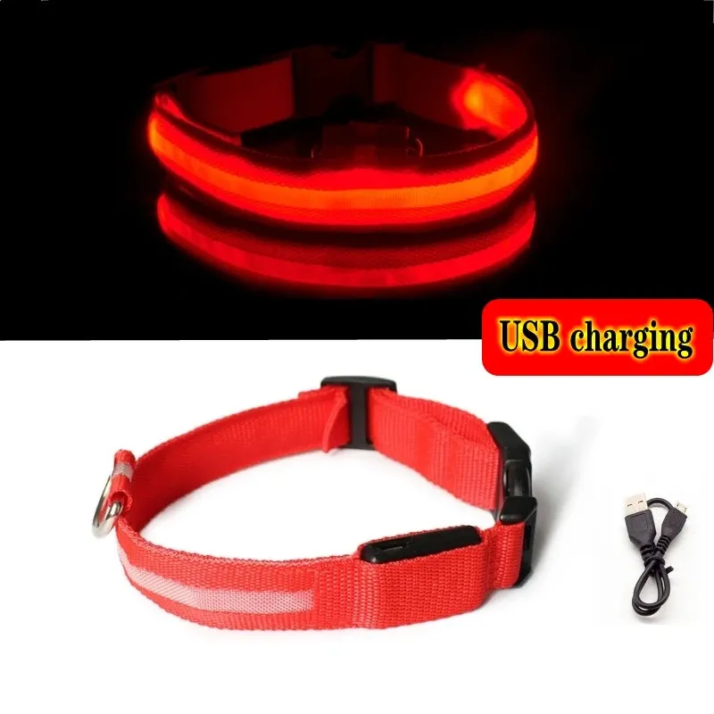 Glowing Dog Collar