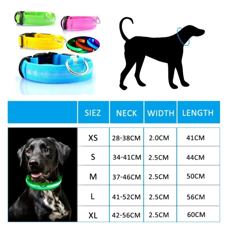 Glowing Dog Collar