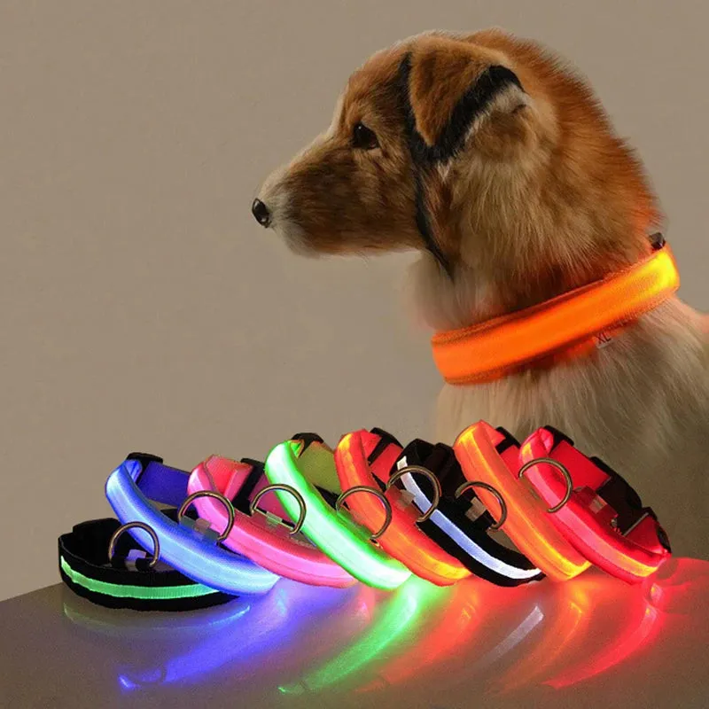 Glowing Dog Collar