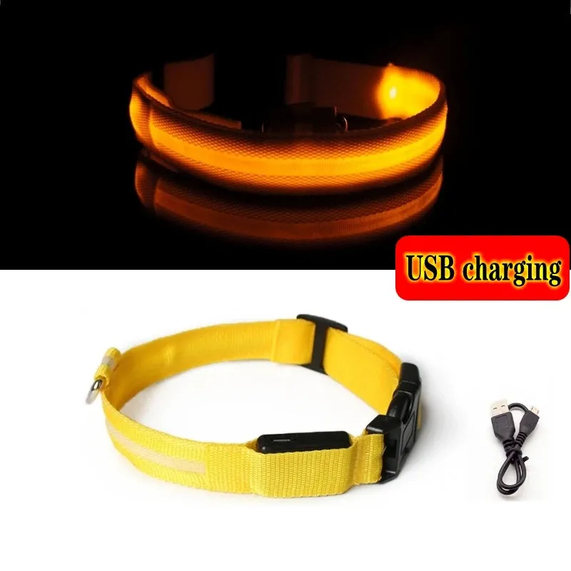 Glowing Dog Collar