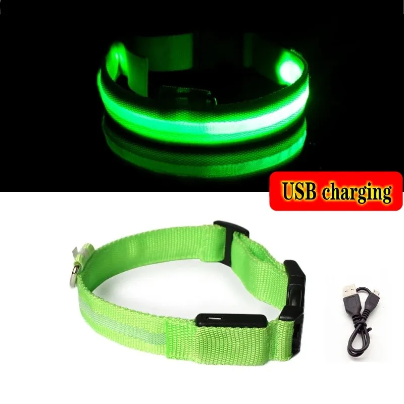 Glowing Dog Collar