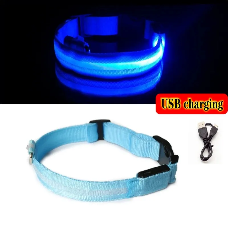 Glowing Dog Collar