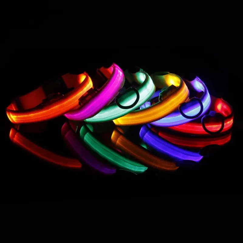 Glowing Dog Collar