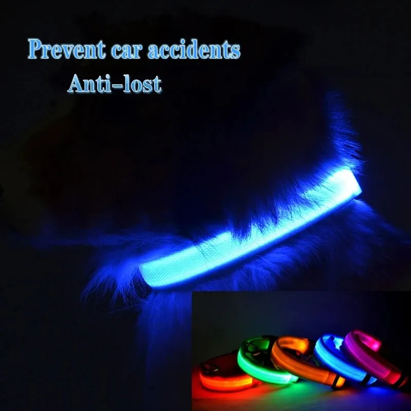 Glowing Dog Collar