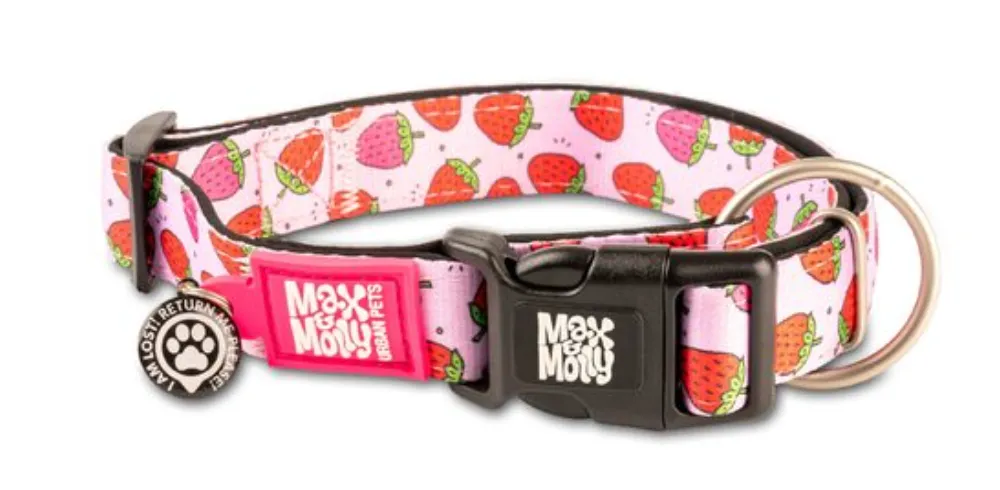 Max & Molly Pet ID Collar