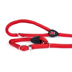 Memopet Dog Training Collar and Rope Leash 2in1 With Activity Tracking Device and Digital ID (Not a GPS Tracker)