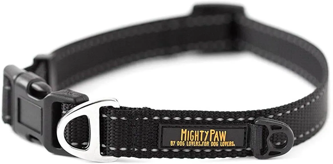 Mighty Paw Reflective Nylon Dog Collar for Safety