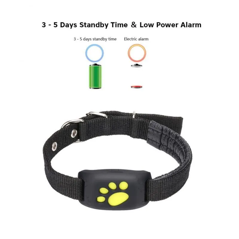 Never Lose Track: GPS Dog Collar Tracker!