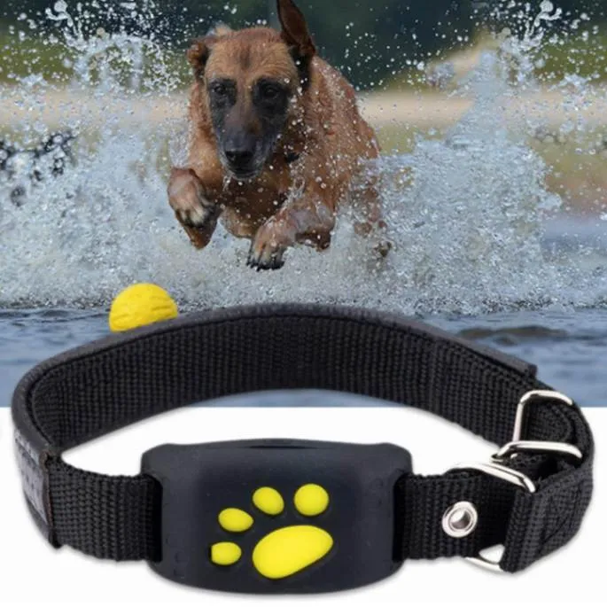 Never Lose Track: GPS Dog Collar Tracker!