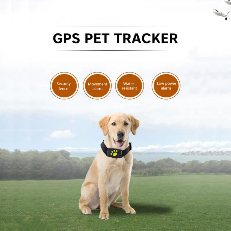 Never Lose Track: GPS Dog Collar Tracker!