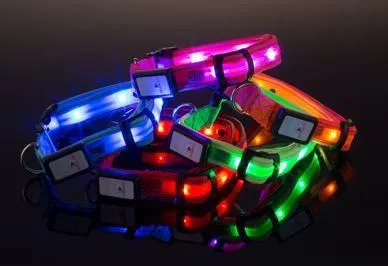 Nite Beams LED Lighted Dog Collar