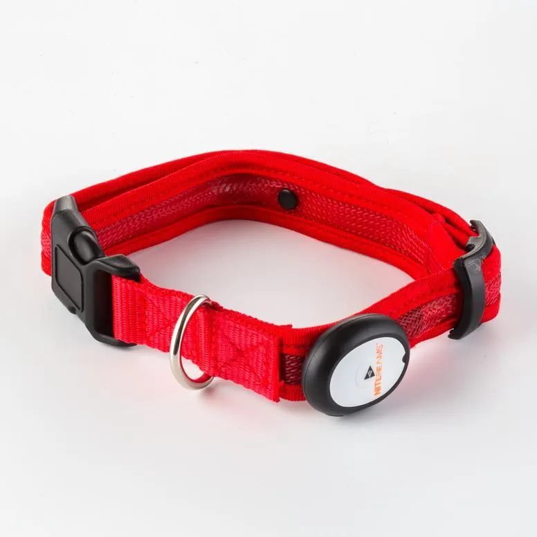 Nite Beams LED Lighted Dog Collar