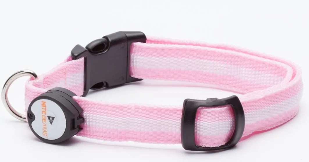 Nite Beams LED Lighted Dog Collar