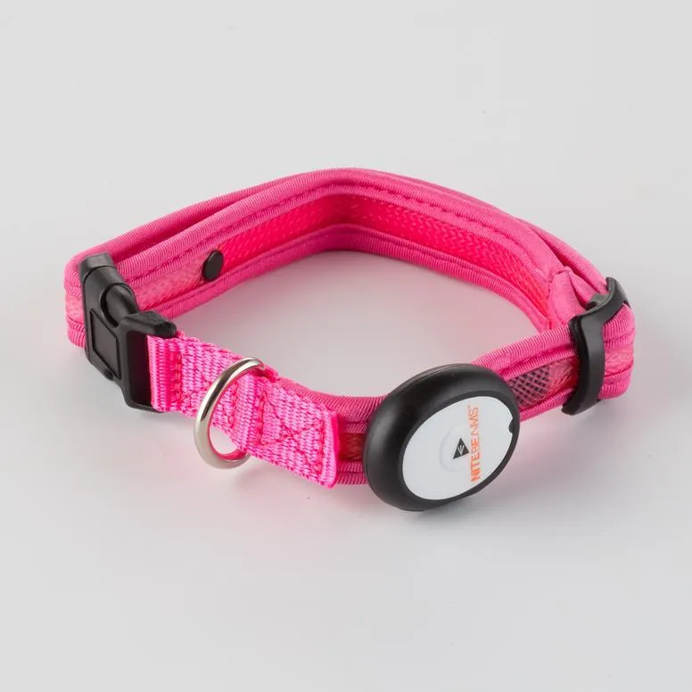 Nite Beams LED Lighted Dog Collar