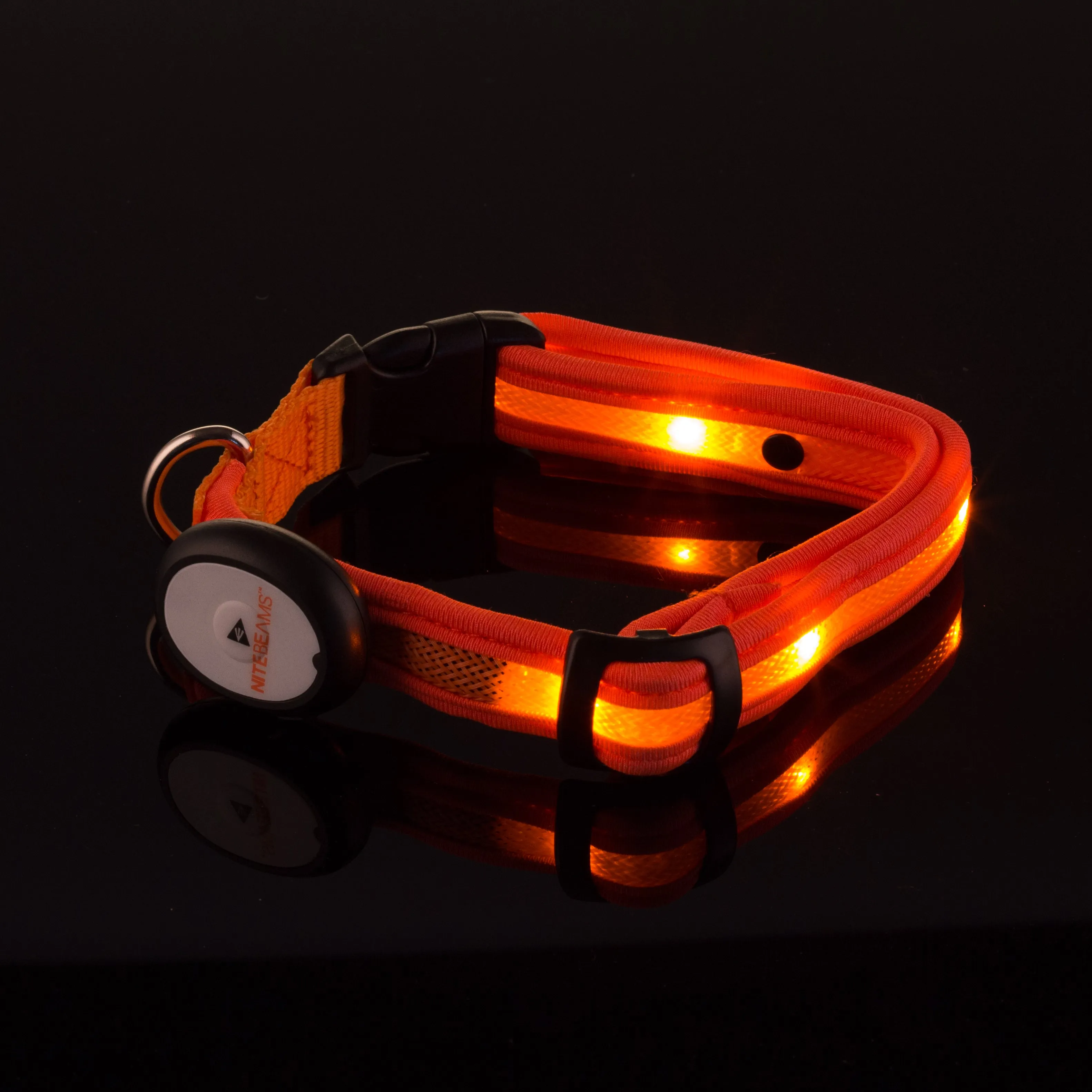 Nite Beams LED Lighted Dog Collar