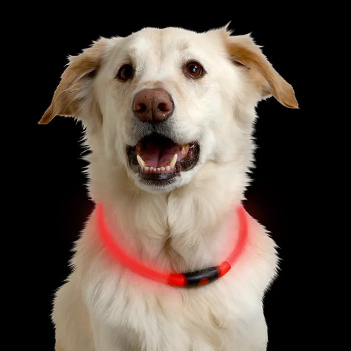 Nite Ize NiteHowl LED Dog Safety Necklace