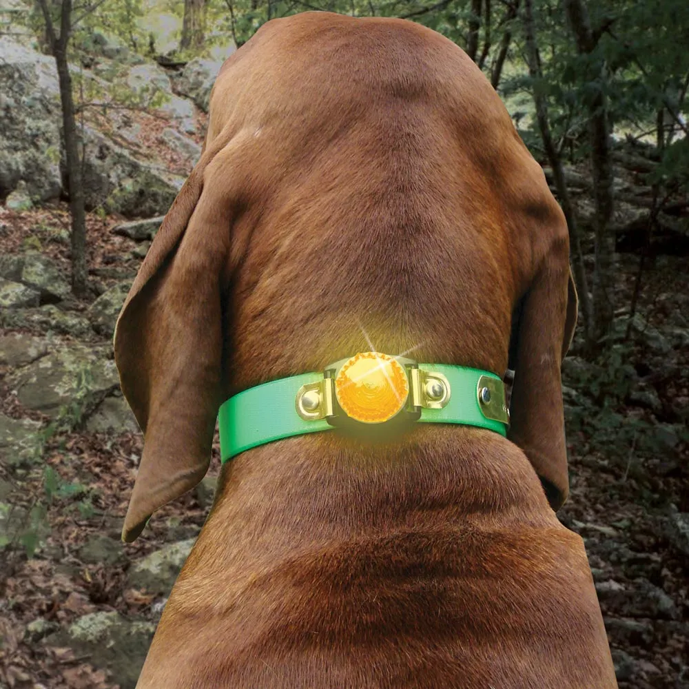 Nite Lite LED Collar Safety Light