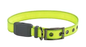 Nitedog Rechargeable Led Collar - Lime Green