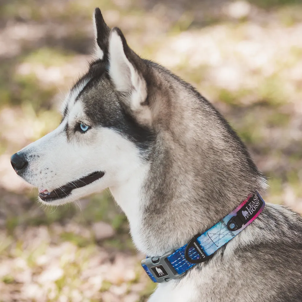 Patterned Reflective Dog Collar - Pattern Collection