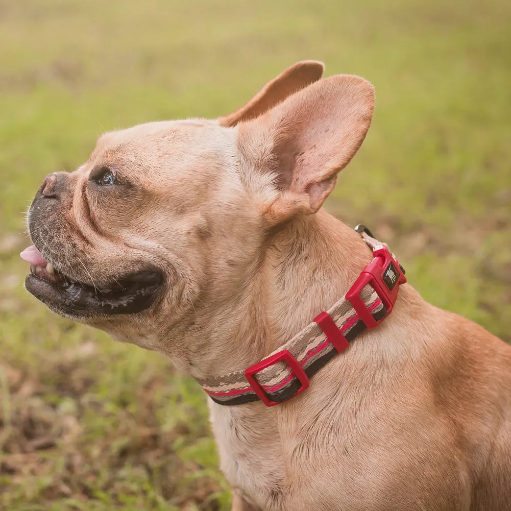 Patterned Reflective Dog Collar - Pattern Collection