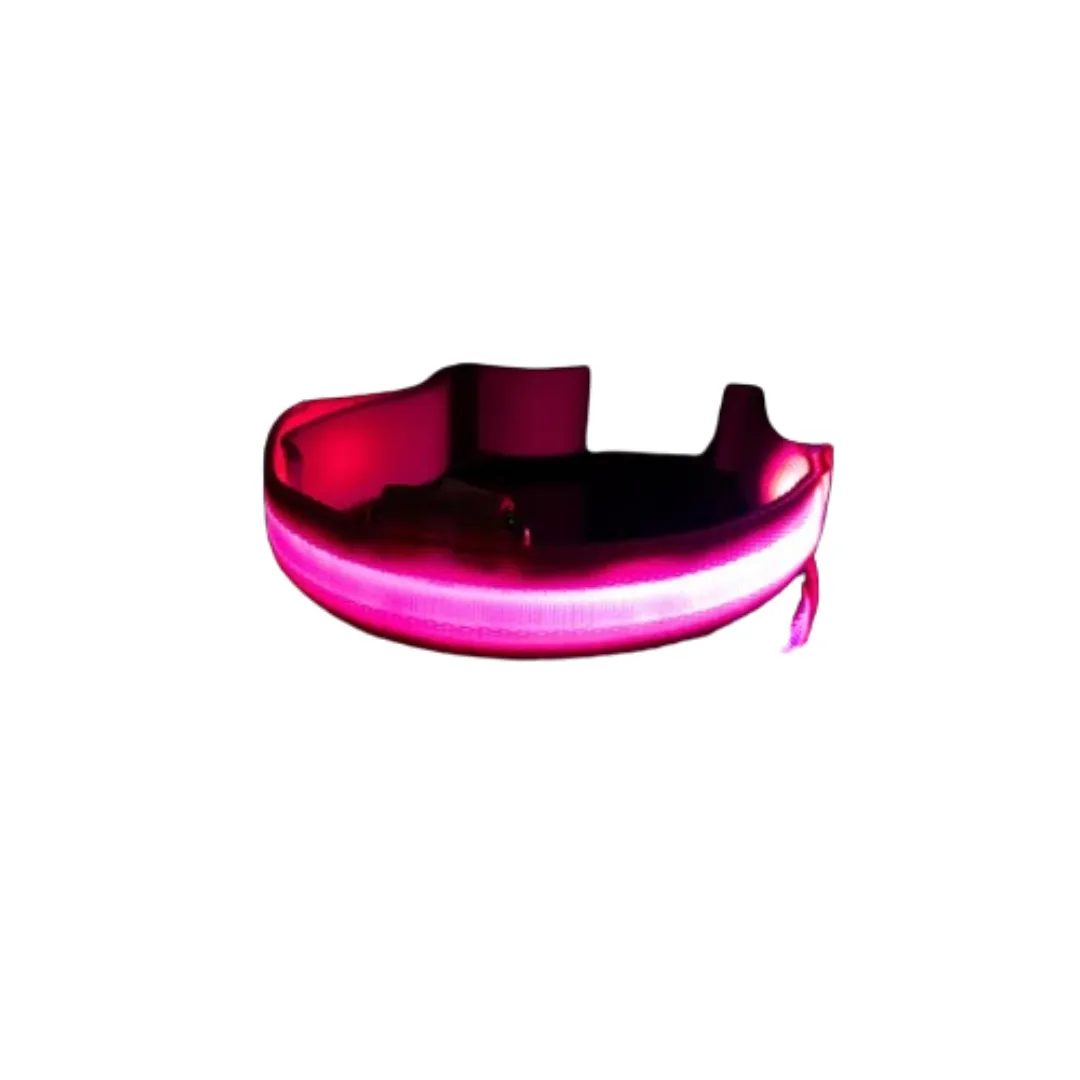 PetAffairs USB Rechargeable LED Dog Collar