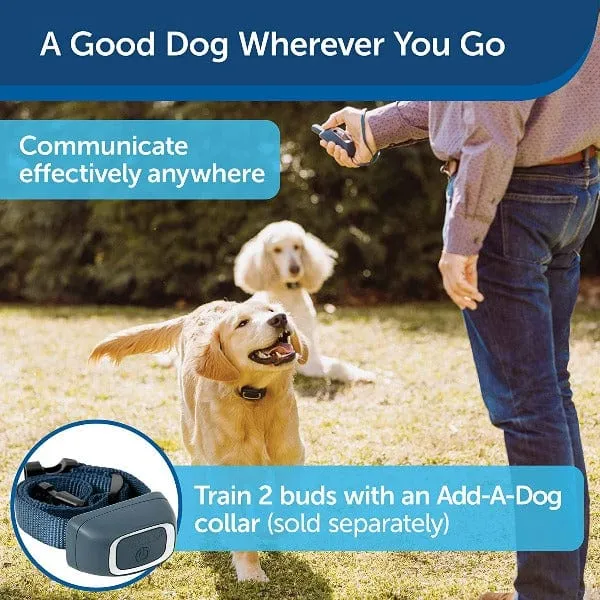 PetSafe 900 Yard Remote Trainer