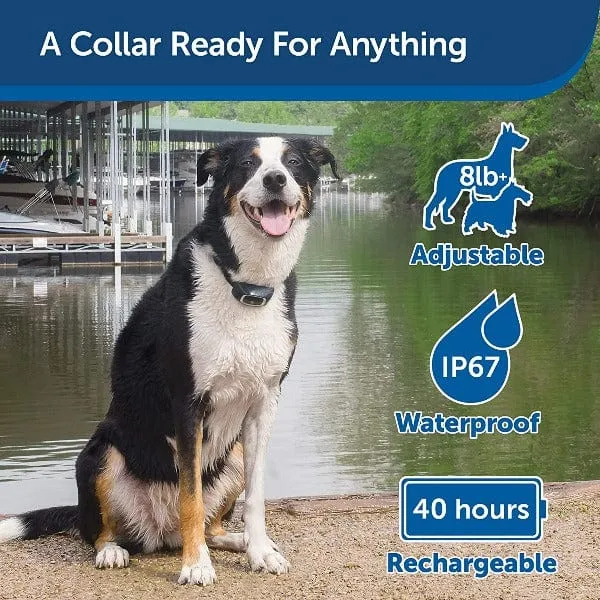 PetSafe 900 Yard Remote Trainer