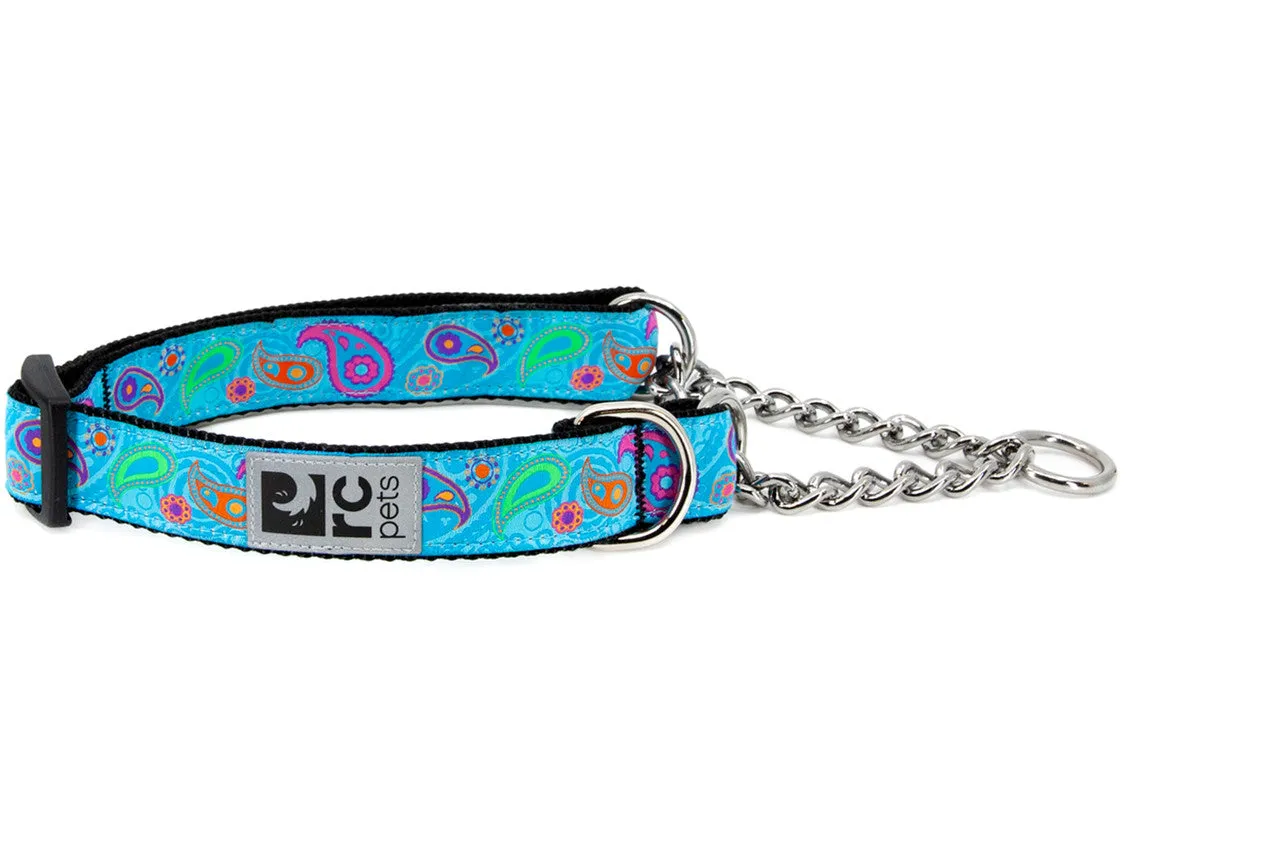 RC Pets Training Collar