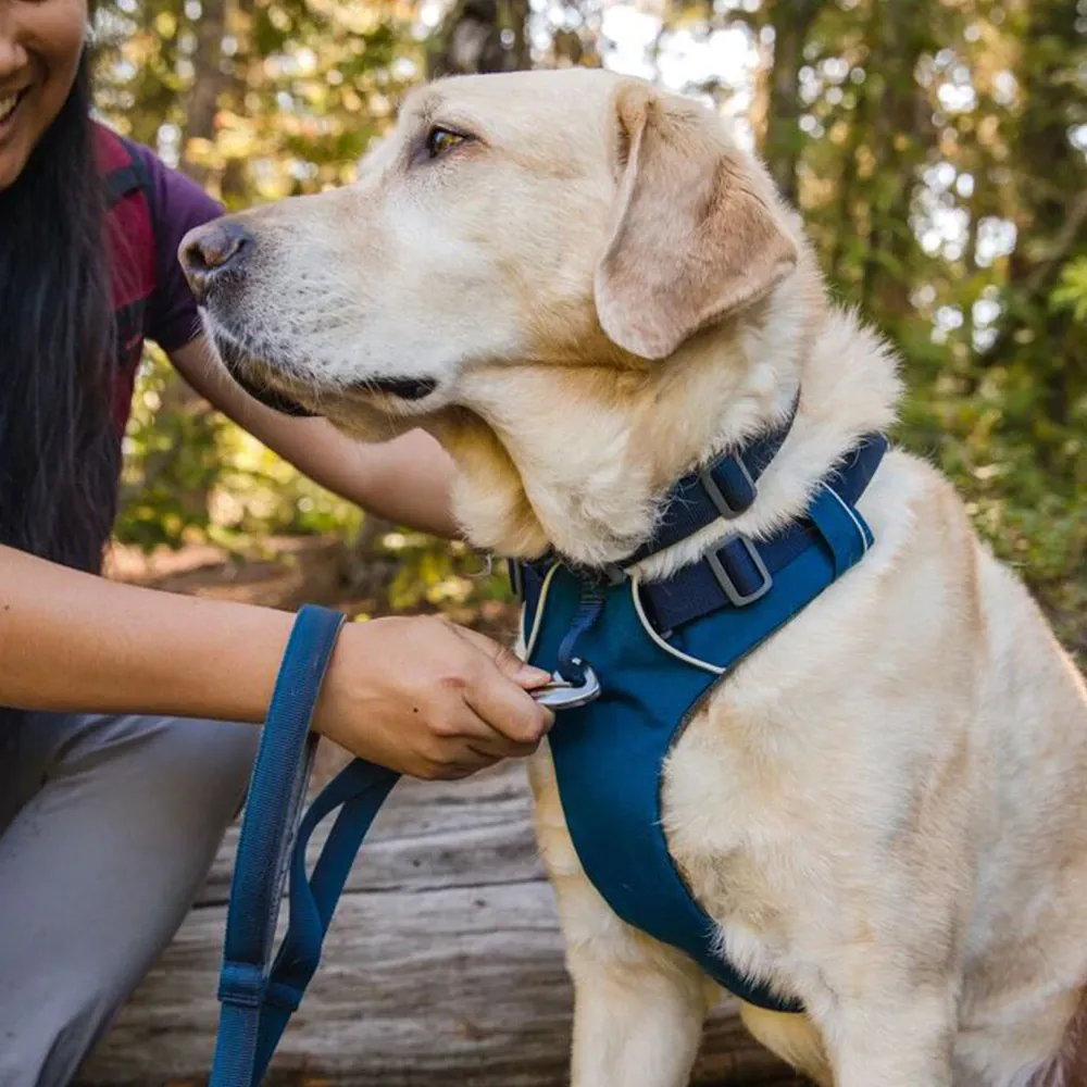 Ruffwear Front Range Harness for Dogs (Blue Moon)