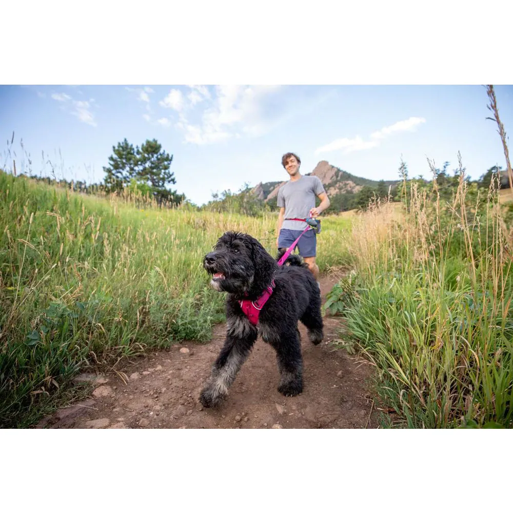 Ruffwear Front Range Harness for Dogs (Hibiscus Pink)