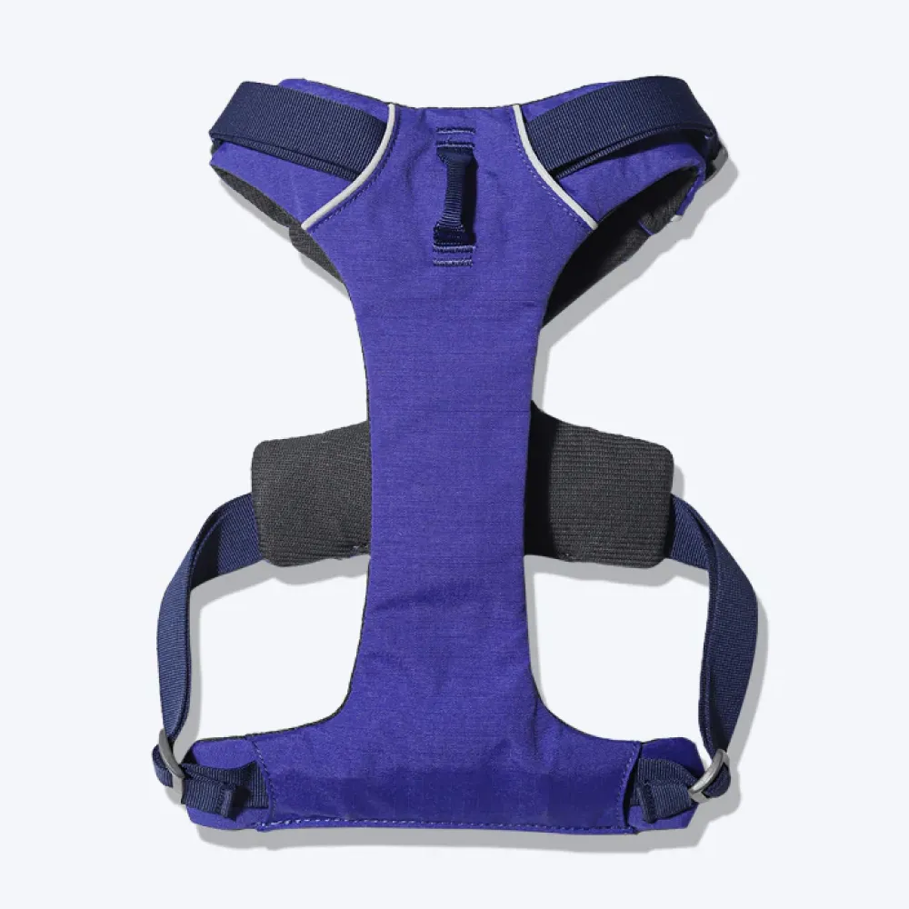 Ruffwear Front Range Harness for Dogs (Huckleberry Blue)