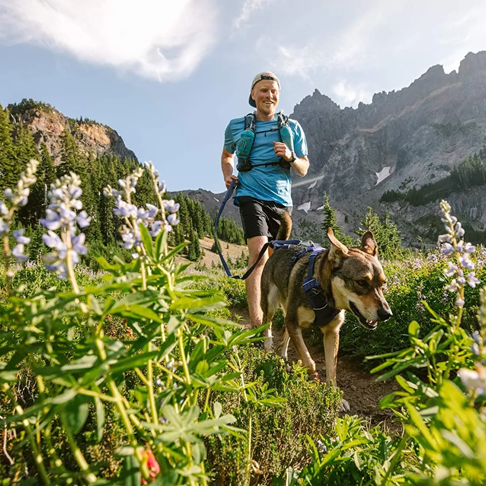 Ruffwear Front Range Harness for Dogs (Huckleberry Blue)