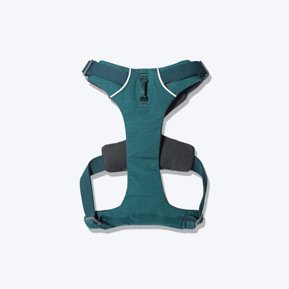 Ruffwear Front Range Harness for Dogs (Tumalo Teal)