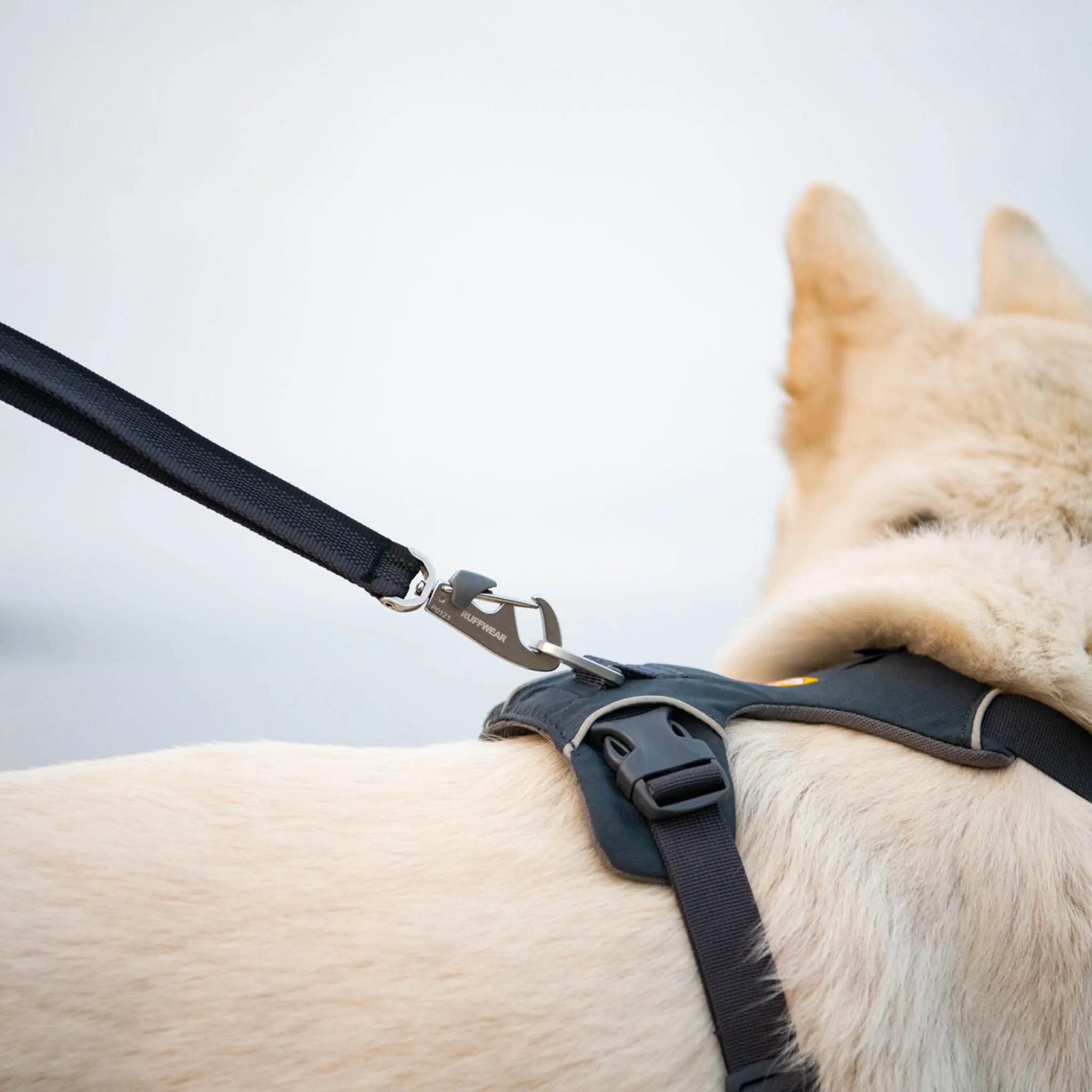 Ruffwear Front Range Harness for Dogs